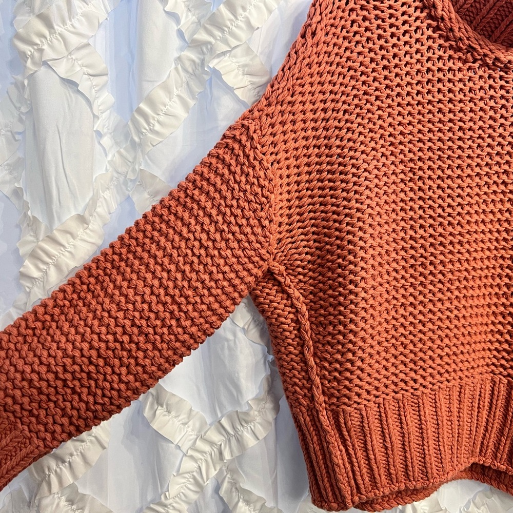 Free People My Only Sunshine Sweater in Rosette NWT - Picture 8 of 13